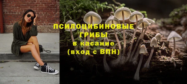 прущие крисы Баксан